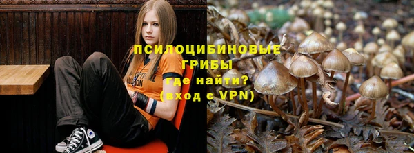 бутират Верея