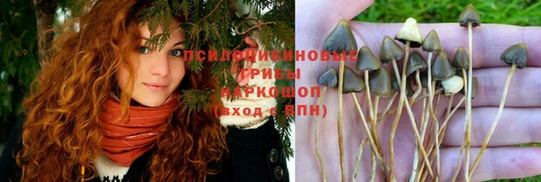 mdpv Верхний Тагил