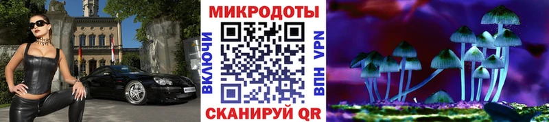 Купить закладки Белый Псилоцибиновые грибы Psilocybine cubensis